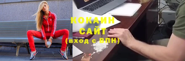 стаф Алексин