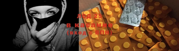 стаф Алексин
