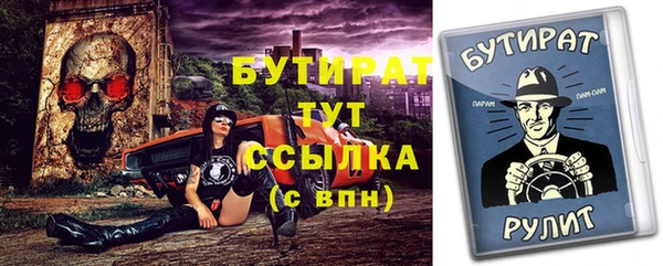 стаф Алексин