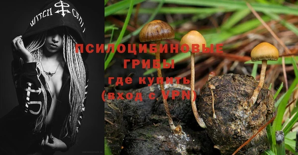 герыч Алзамай