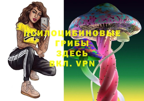 стаф Алексин