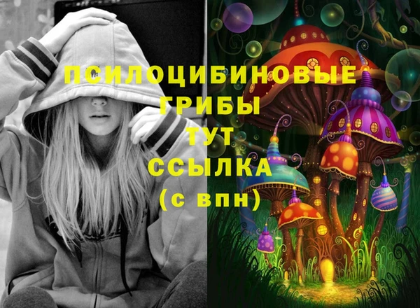 метамфетамин Алексеевка