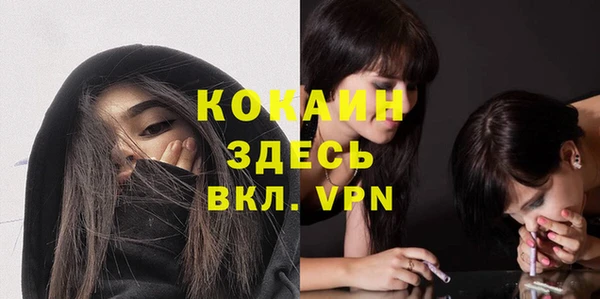 стаф Алексин